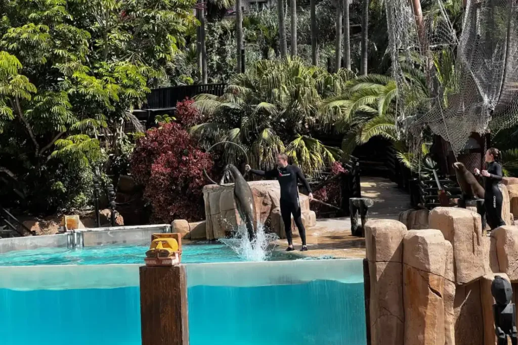 Jungle Park Safari