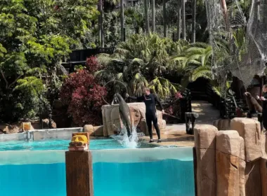 Jungle Park Safari