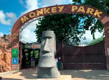 Monkey Park Encounter