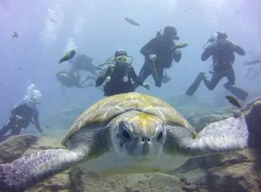 PADI Diving Course
